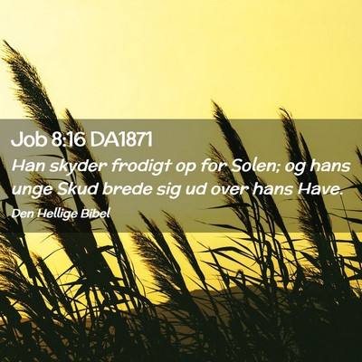 Picture 02 - Job 8:16 DA1871 - Han skyder frodigt op for Solen; og hans unge - Bible Verse Picture