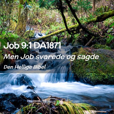 Picture 02 - Job 9:1 DA1871 - Men Job svarede og - Bible Verse Picture