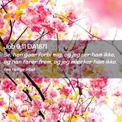 Picture 02 - Job 9:11 DA1871 - Se, han gaar forbi mig, og jeg ser ham ikke, og - Bible Verse Picture