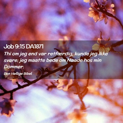 Picture 02 - Job 9:15 DA1871 - Thi om jeg end var retfærdig, kunde jeg ikke - Bible Verse Picture
