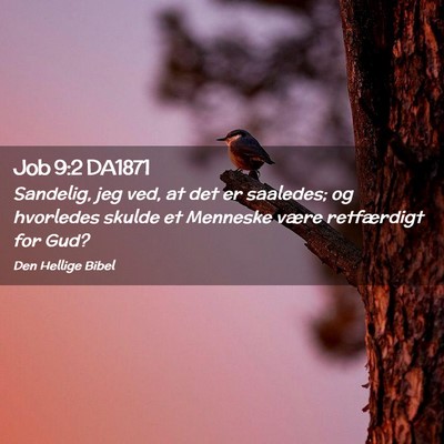 Picture 02 - Job 9:2 DA1871 - Sandelig, jeg ved, at det er saaledes; og - Bible Verse Picture