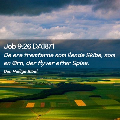 Picture 02 - Job 9:26 DA1871 - De ere fremfarne som ilende Skibe, som en Ørn, - Bible Verse Picture