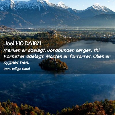 Picture 02 - Joel 1:10 DA1871 - Marken er ødelagt, Jordbunden sørger; thi - Bible Verse Picture