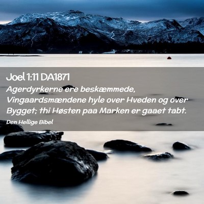 Picture 02 - Joel 1:11 DA1871 - Agerdyrkerne ere beskæmmede, Vingaardsmændene - Bible Verse Picture