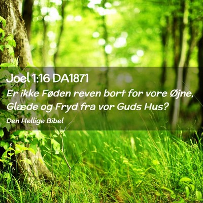 Picture 02 - Joel 1:16 DA1871 - Er ikke Føden reven bort for vore Øjne, Glæde - Bible Verse Picture