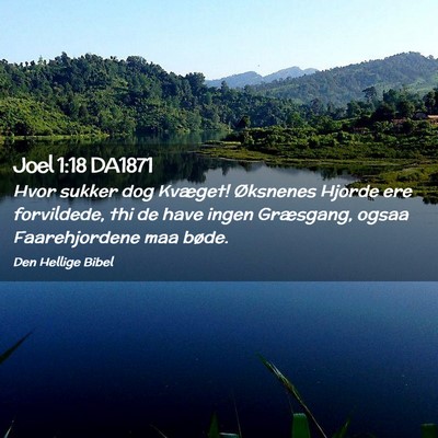 Picture 02 - Joel 1:18 DA1871 - Hvor sukker dog Kvæget! Øksnenes Hjorde ere - Bible Verse Picture