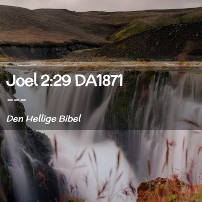 Picture 02 - Joel 2:29 DA1871 -  - Bible Verse Picture