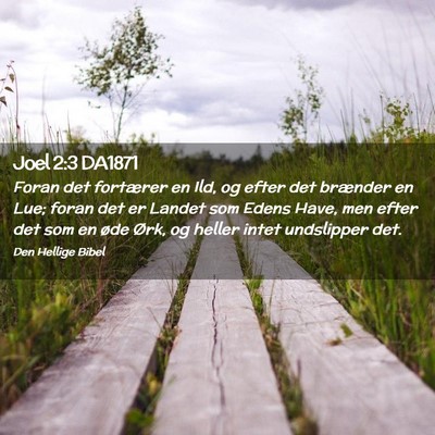 Picture 02 - Joel 2:3 DA1871 - Foran det fortærer en Ild, og efter det brænder - Bible Verse Picture