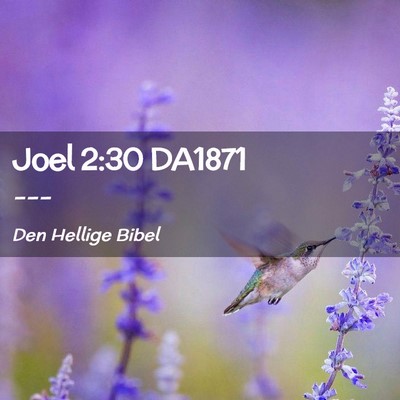 Picture 02 - Joel 2:30 DA1871 -  - Bible Verse Picture