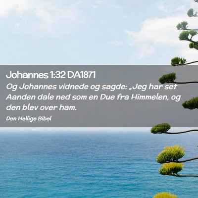 Picture 02 - Johannes 1:32 DA1871 - Og Johannes vidnede og sagde: „Jeg har set - Bible Verse Picture