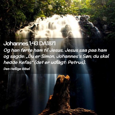 Picture 02 - Johannes 1:43 DA1871 - Og han førte ham til Jesus. Jesus saa paa ham og - Bible Verse Picture
