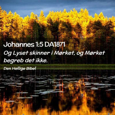 Picture 02 - Johannes 1:5 DA1871 - Og Lyset skinner i Mørket, og Mørket begreb det - Bible Verse Picture