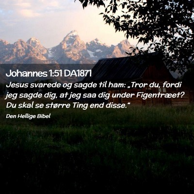 Picture 02 - Johannes 1:51 DA1871 - Jesus svarede og sagde til ham: „Tror du, fordi - Bible Verse Picture