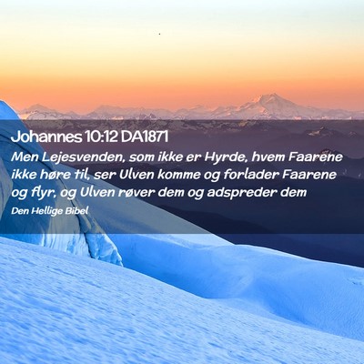 Picture 02 - Johannes 10:12 DA1871 - Men Lejesvenden, som ikke er Hyrde, hvem Faarene - Bible Verse Picture