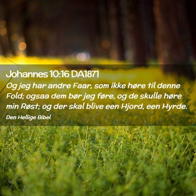 Picture 02 - Johannes 10:16 DA1871 - Og jeg har andre Faar, som ikke høre til denne - Bible Verse Picture