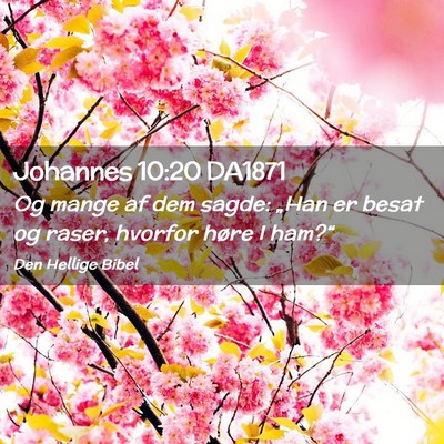 Picture 02 - Johannes 10:20 DA1871 - Og mange af dem sagde: „Han er besat og raser, - Bible Verse Picture