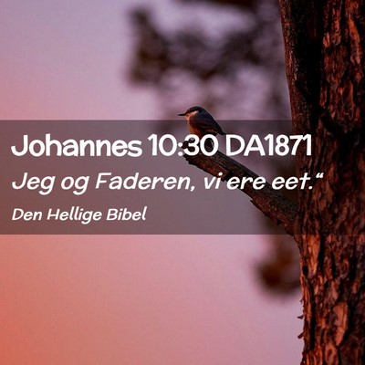 Picture 02 - Johannes 10:30 DA1871 - Jeg og Faderen, vi ere - Bible Verse Picture