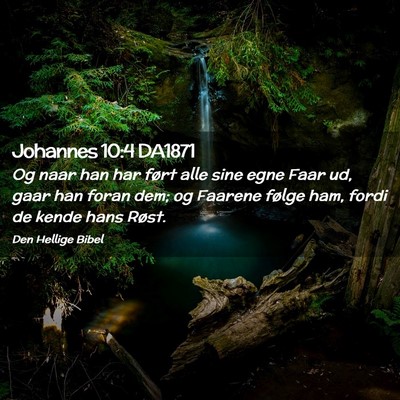 Picture 02 - Johannes 10:4 DA1871 - Og naar han har ført alle sine egne Faar ud, - Bible Verse Picture