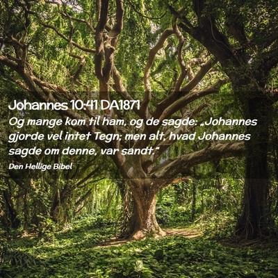 Picture 02 - Johannes 10:41 DA1871 - Og mange kom til ham, og de sagde: „Johannes - Bible Verse Picture