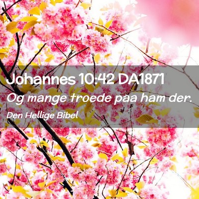 Picture 02 - Johannes 10:42 DA1871 - Og mange troede paa ham - Bible Verse Picture