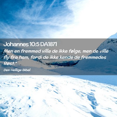 Picture 02 - Johannes 10:5 DA1871 - Men en fremmed ville de ikke følge, men de ville - Bible Verse Picture