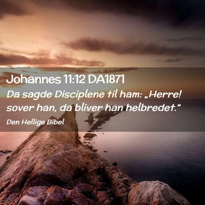 Picture 02 - Johannes 11:12 DA1871 - Da sagde Disciplene til ham: „Herre! sover han, - Bible Verse Picture