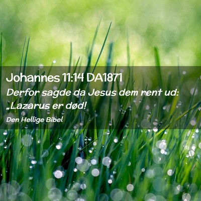 Picture 02 - Johannes 11:14 DA1871 - Derfor sagde da Jesus dem rent ud: „Lazarus er - Bible Verse Picture