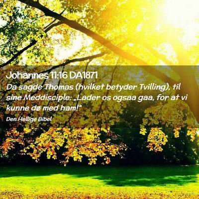 Picture 02 - Johannes 11:16 DA1871 - Da sagde Thomas (hvilket betyder Tvilling), til - Bible Verse Picture