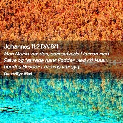 Picture 02 - Johannes 11:2 DA1871 - Men Maria var den, som salvede Herren med Salve - Bible Verse Picture