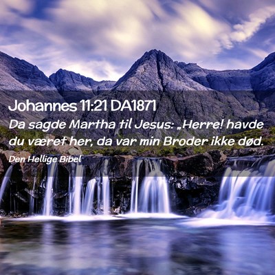 Picture 02 - Johannes 11:21 DA1871 - Da sagde Martha til Jesus: „Herre! havde du - Bible Verse Picture