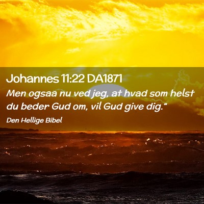 Picture 02 - Johannes 11:22 DA1871 - Men ogsaa nu ved jeg, at hvad som helst du beder - Bible Verse Picture