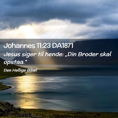 Picture 02 - Johannes 11:23 DA1871 - Jesus siger til hende: „Din Broder skal - Bible Verse Picture