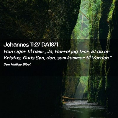Picture 02 - Johannes 11:27 DA1871 - Hun siger til ham: „Ja, Herre! jeg tror, at du - Bible Verse Picture