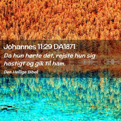 Picture 02 - Johannes 11:29 DA1871 - Da hun hørte det, rejste hun sig hastigt og gik - Bible Verse Picture
