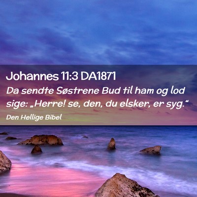 Picture 02 - Johannes 11:3 DA1871 - Da sendte Søstrene Bud til ham og lod sige: - Bible Verse Picture