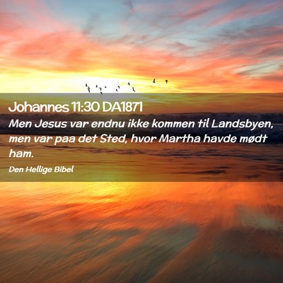 Picture 02 - Johannes 11:30 DA1871 - Men Jesus var endnu ikke kommen til Landsbyen, - Bible Verse Picture