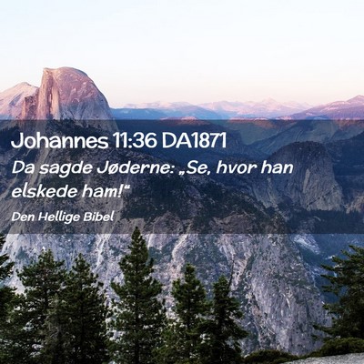 Picture 02 - Johannes 11:36 DA1871 - Da sagde Jøderne: „Se, hvor han elskede - Bible Verse Picture