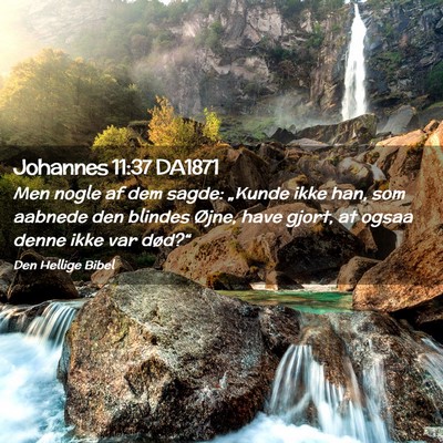 Picture 02 - Johannes 11:37 DA1871 - Men nogle af dem sagde: „Kunde ikke han, som - Bible Verse Picture