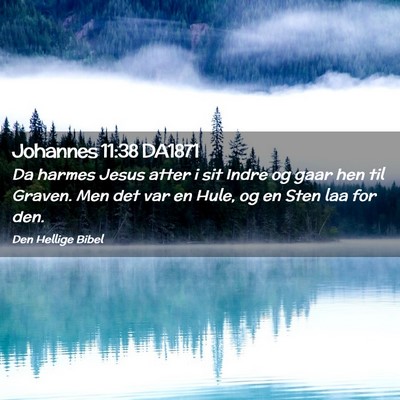 Picture 02 - Johannes 11:38 DA1871 - Da harmes Jesus atter i sit Indre og gaar hen til - Bible Verse Picture