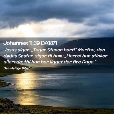 Picture 02 - Johannes 11:39 DA1871 - Jesus siger: „Tager Stenen bort!“ Martha, den - Bible Verse Picture