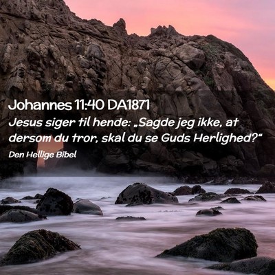 Picture 02 - Johannes 11:40 DA1871 - Jesus siger til hende: „Sagde jeg ikke, at - Bible Verse Picture