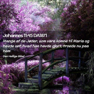 Picture 02 - Johannes 11:45 DA1871 - Mange af de Jøder, som vare komne til Maria og - Bible Verse Picture