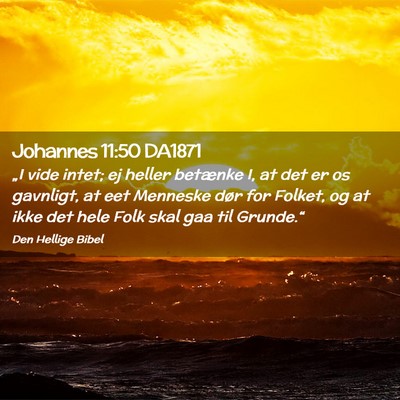 Picture 02 - Johannes 11:50 DA1871 - „I vide intet; ej heller betænke I, at det er - Bible Verse Picture