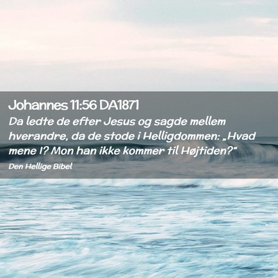 Picture 02 - Johannes 11:56 DA1871 - Da ledte de efter Jesus og sagde mellem - Bible Verse Picture