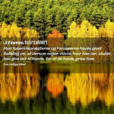 Picture 02 - Johannes 11:57 DA1871 - Men Ypperstepræsterne og Farisæerne havde givet - Bible Verse Picture
