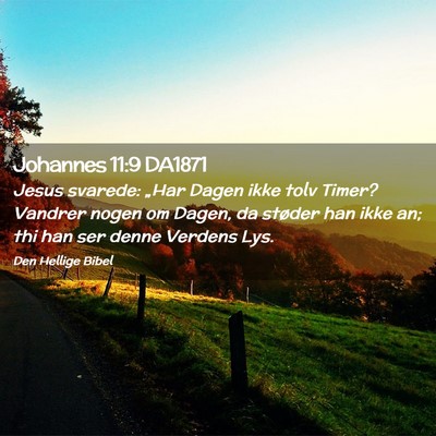 Picture 02 - Johannes 11:9 DA1871 - Jesus svarede: „Har Dagen ikke tolv Timer? - Bible Verse Picture