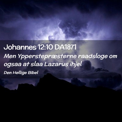 Picture 02 - Johannes 12:10 DA1871 - Men Ypperstepræsterne raadsloge om ogsaa at slaa - Bible Verse Picture
