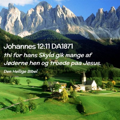 Picture 02 - Johannes 12:11 DA1871 - thi for hans Skyld gik mange af Jøderne hen og - Bible Verse Picture