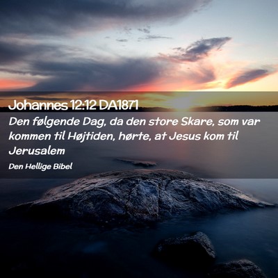 Picture 02 - Johannes 12:12 DA1871 - Den følgende Dag, da den store Skare, som var - Bible Verse Picture