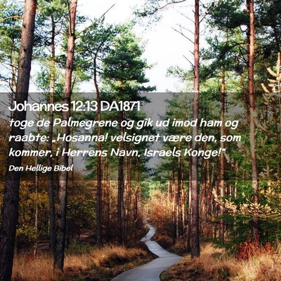 Picture 02 - Johannes 12:13 DA1871 - toge de Palmegrene og gik ud imod ham og raabte: - Bible Verse Picture